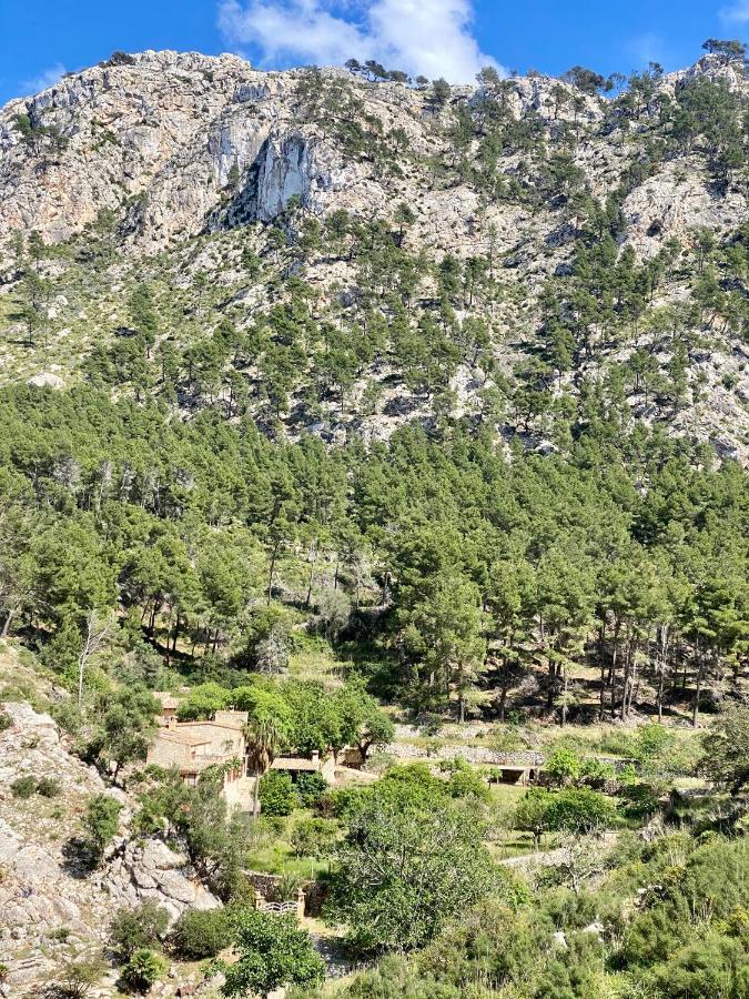 Finca Ses Fontanelles Andraitx Exteriér fotografie