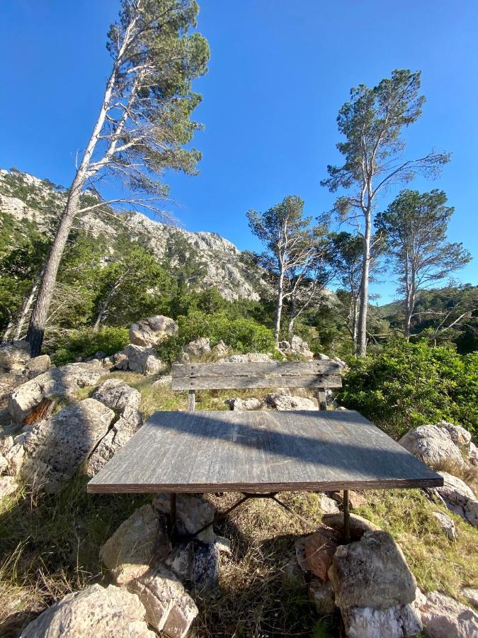 Finca Ses Fontanelles Andraitx Exteriér fotografie