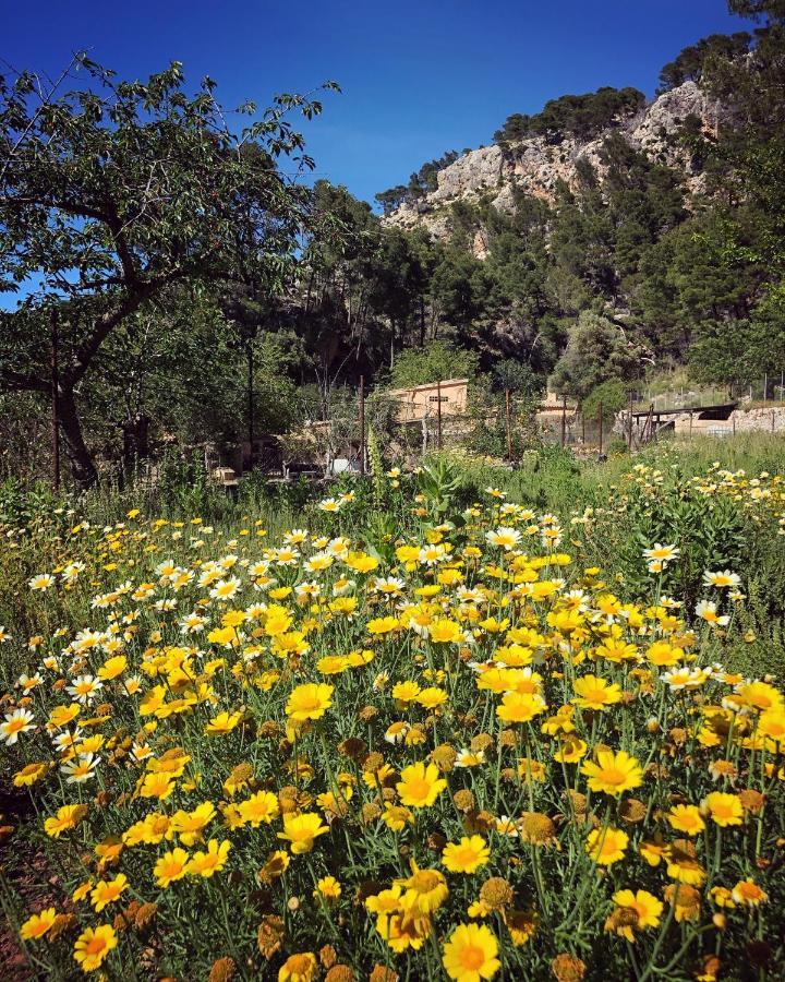 Finca Ses Fontanelles Andraitx Exteriér fotografie