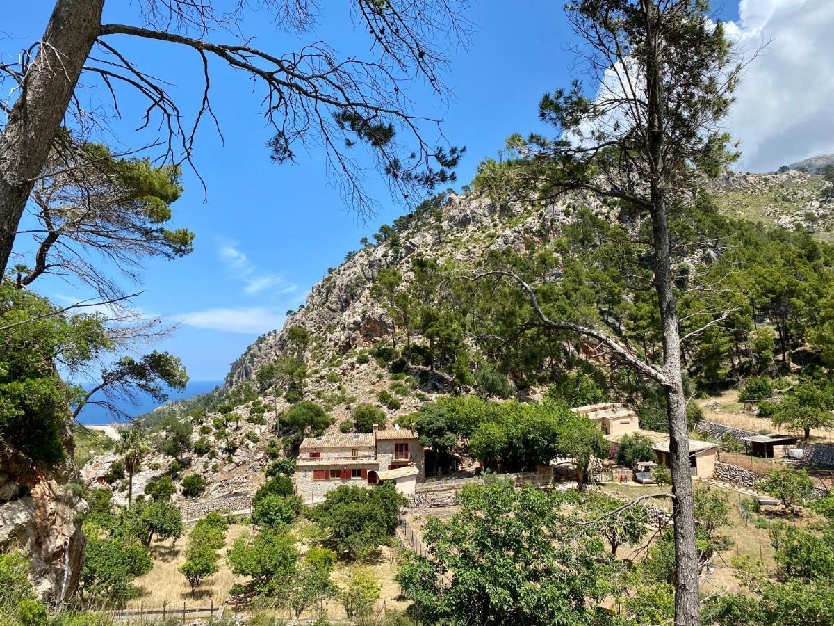 Finca Ses Fontanelles Andraitx Exteriér fotografie