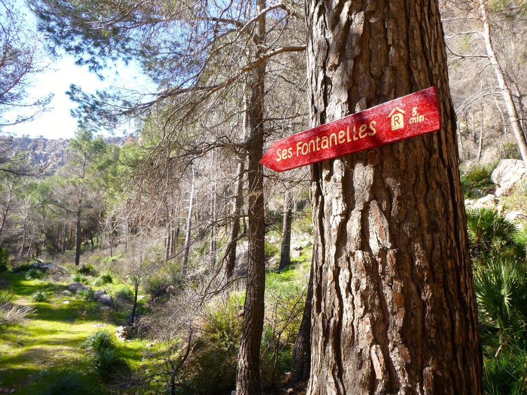 Finca Ses Fontanelles Andraitx Exteriér fotografie