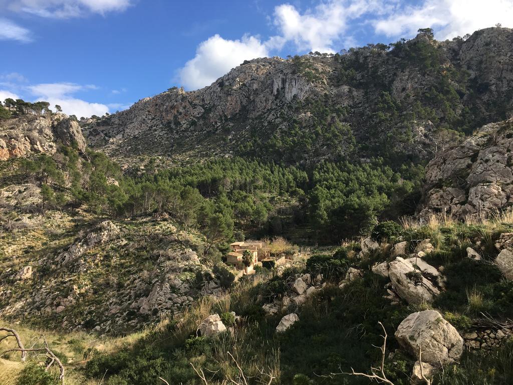 Finca Ses Fontanelles Andraitx Exteriér fotografie