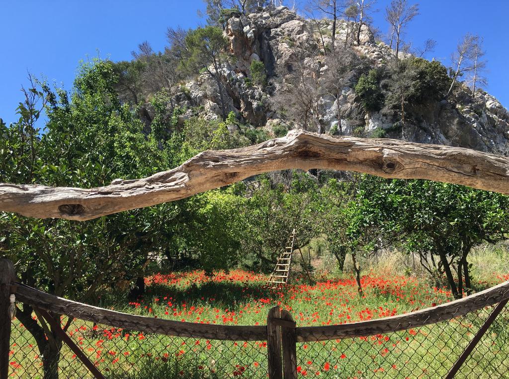 Finca Ses Fontanelles Andraitx Exteriér fotografie