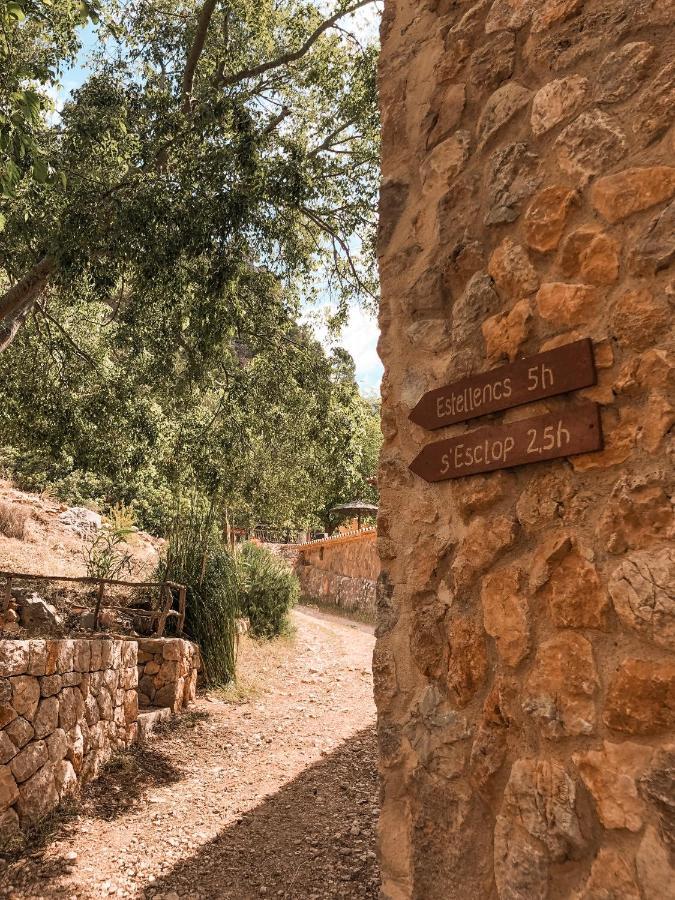 Finca Ses Fontanelles Andraitx Exteriér fotografie